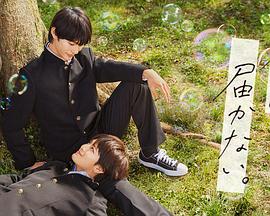 青青草原国产国片海报剧照