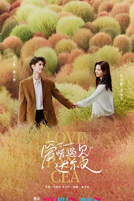 老婆拍海报剧照