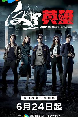 挑情高手在线海报剧照